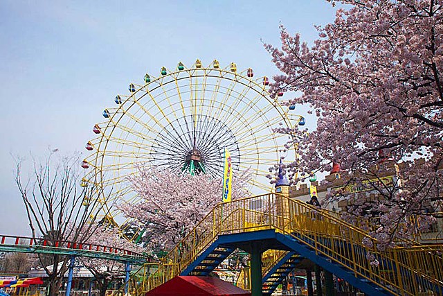 群馬の遊園地 公園 4選 群馬の遊び場と言えばここ そんな場所をご紹介致します だるま酒場